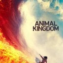 Animal Kingdom 6. sezon 4. bölüm